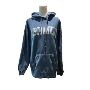 Comfort Colors Blue Hoodie